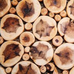 Sandalwood Album Oil