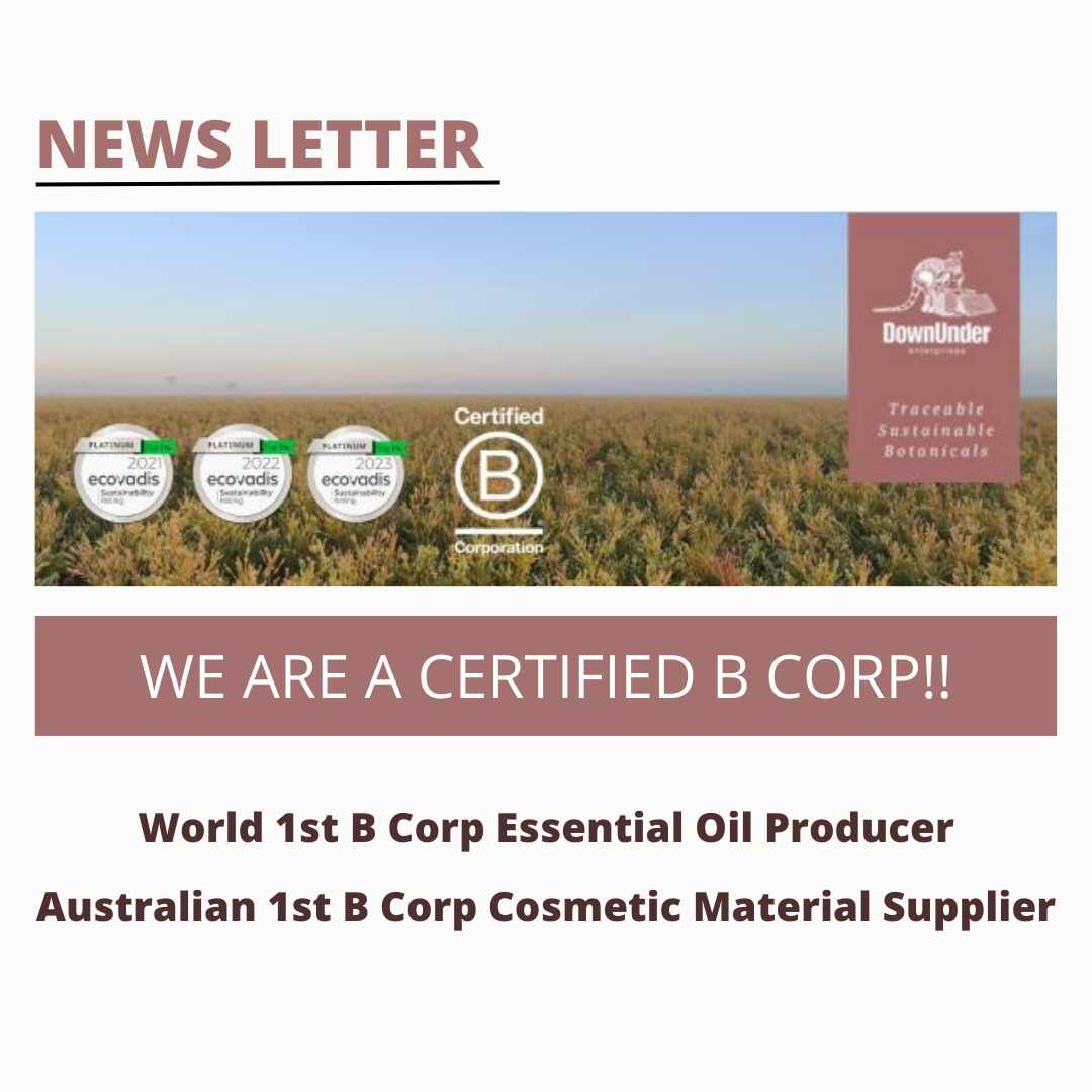 WE ARE A CERTIFIED B CORP!!