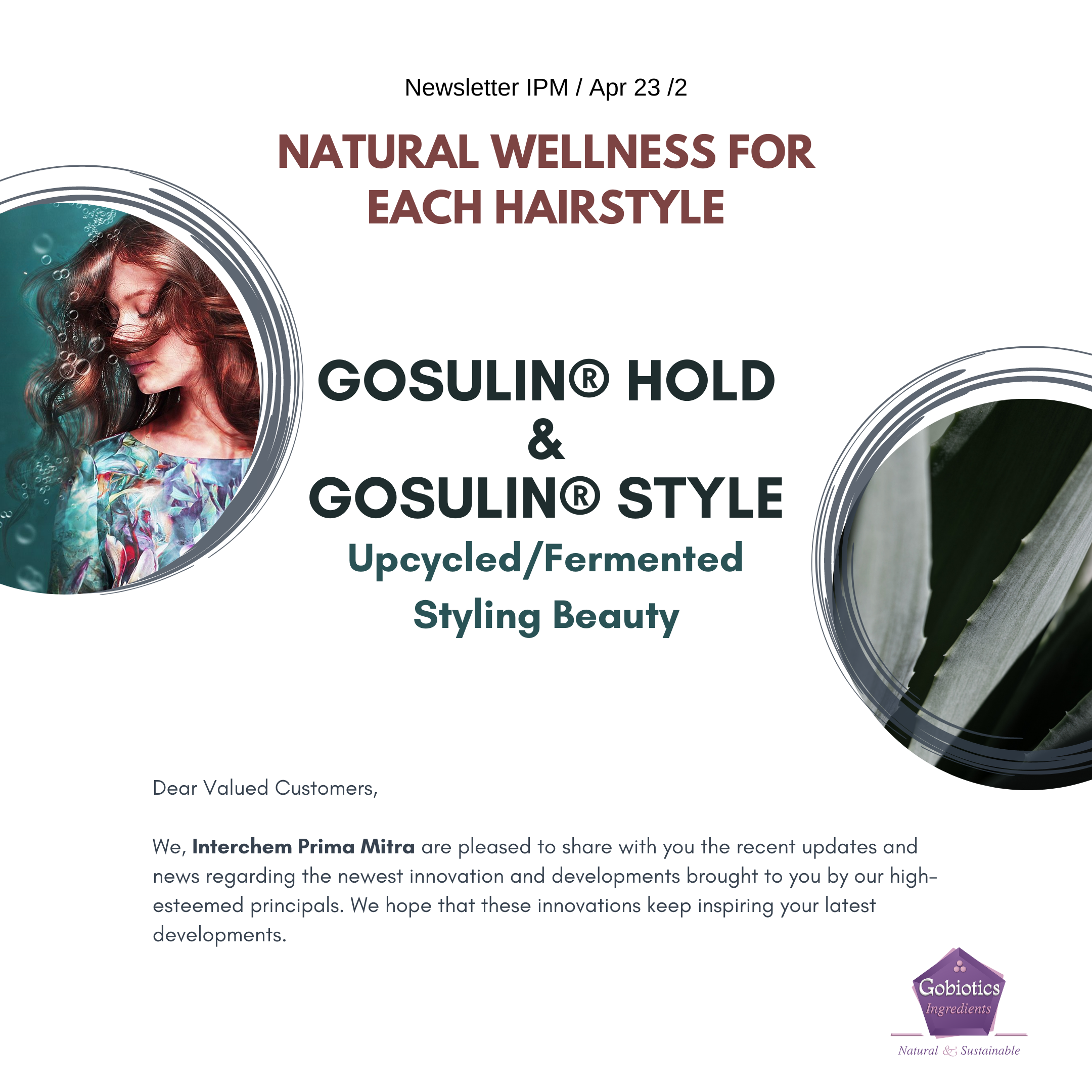 GOSULIN® HOLD & GOSULIN® STYLE
