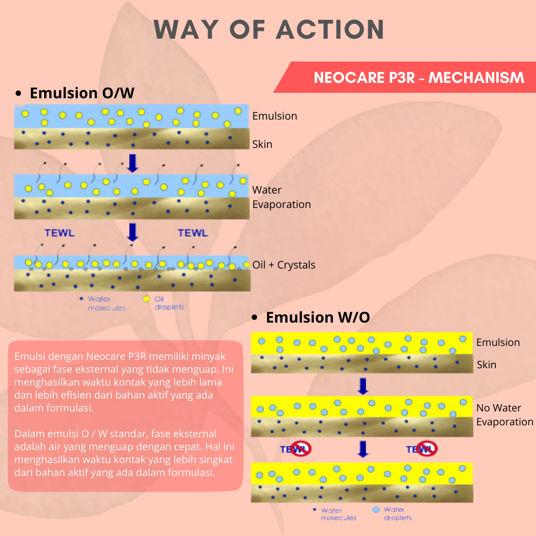 A NATURAL CASTOR BASED EMULSIFIER All in One Concept!