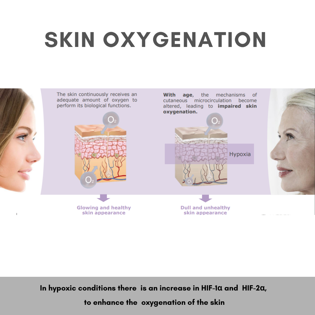 OXYLANCE™ ADVANCED BOTANICAL INGREDIENT