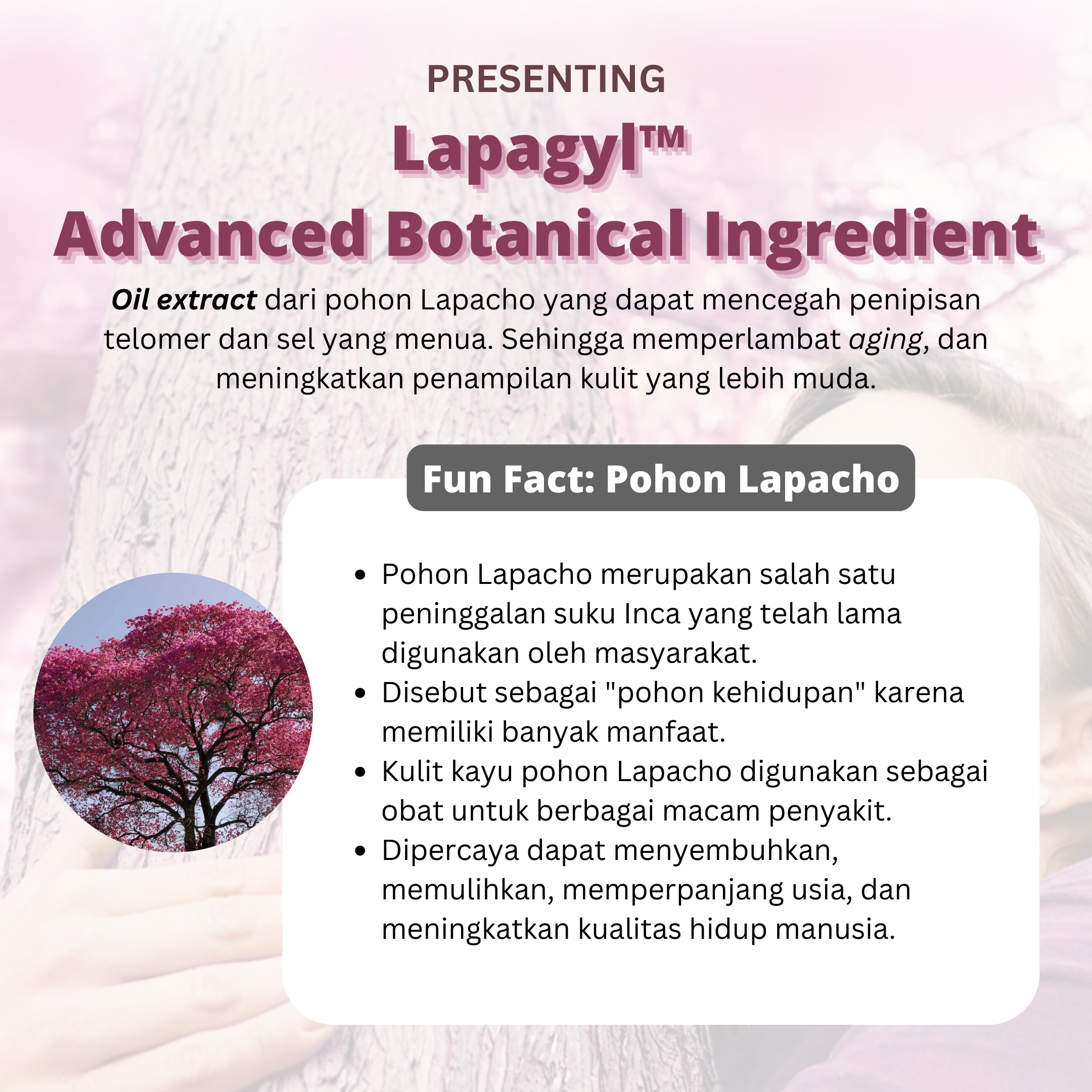 LET YOUR YOUTH BLOSSOM