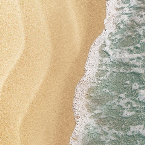 Seacode™ marine ingredient