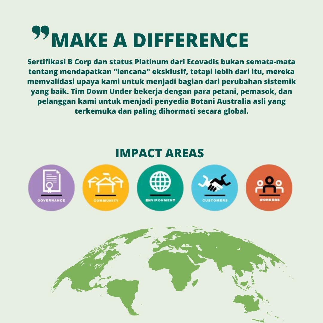 WE ARE A CERTIFIED B CORP!!