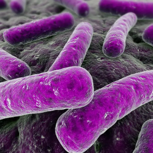preBIULIN® FOS
