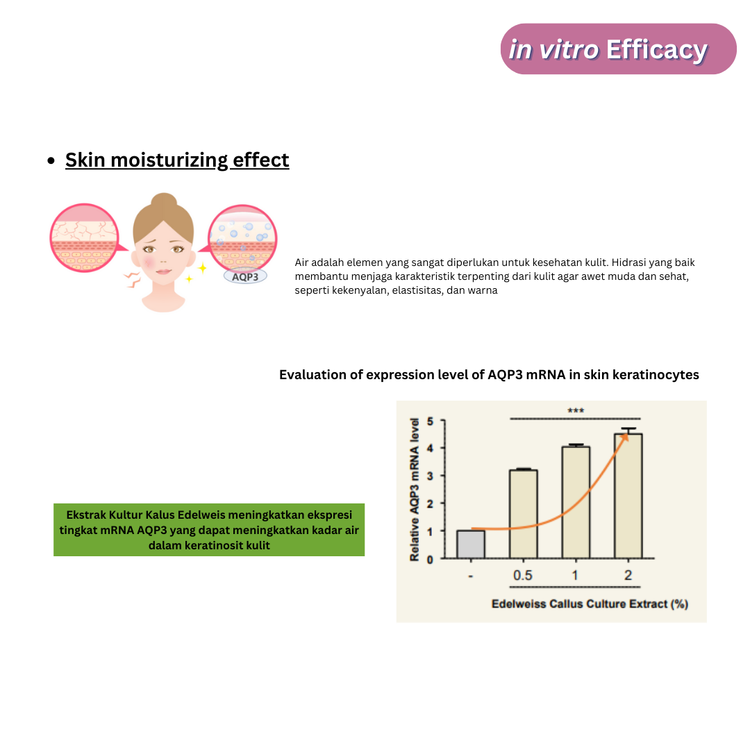 Edelweiss Callus Culture Extract