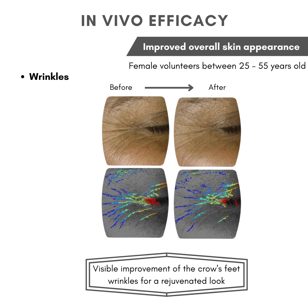 OXYLANCE™ ADVANCED BOTANICAL INGREDIENT