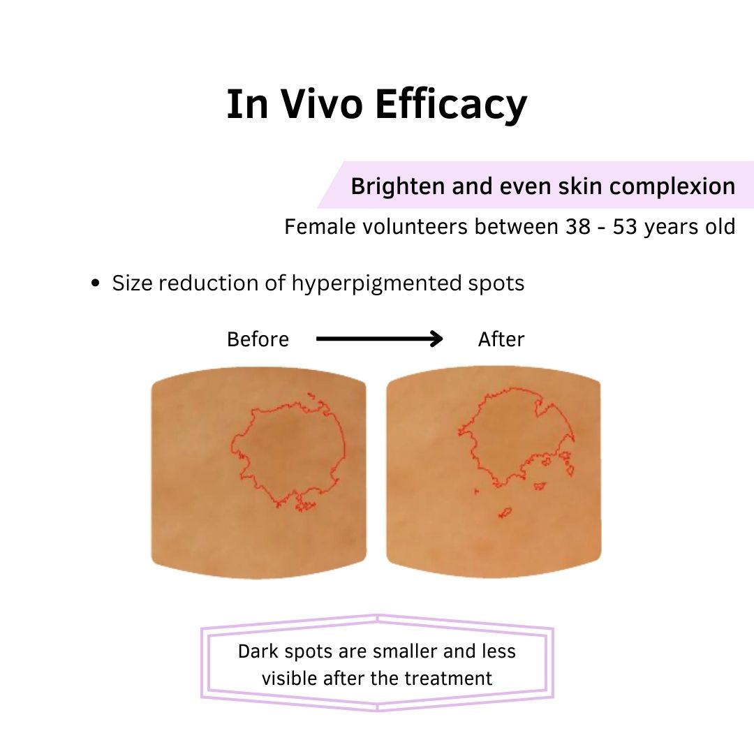 BRIGHLETTE ™ MARINE INGREDIENT