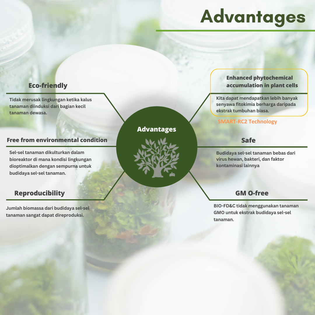 Edelweiss Callus Culture Extract
