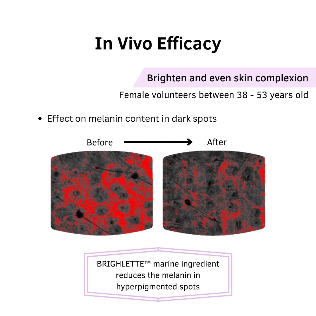 BRIGHLETTE ™ MARINE INGREDIENT