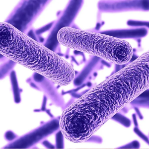 preBIULIN® C90