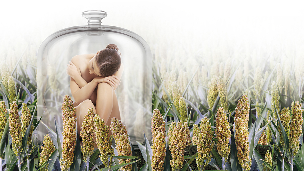 Actiguard™ advanced botanical ingredient