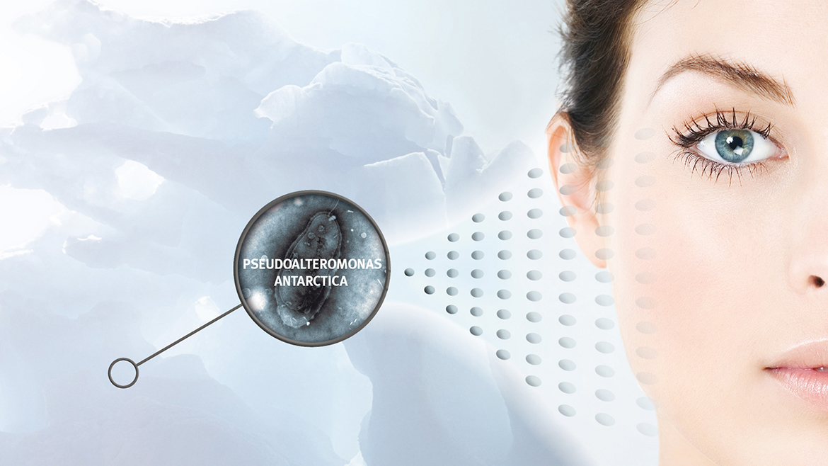 Antarcticine® marine ingredient