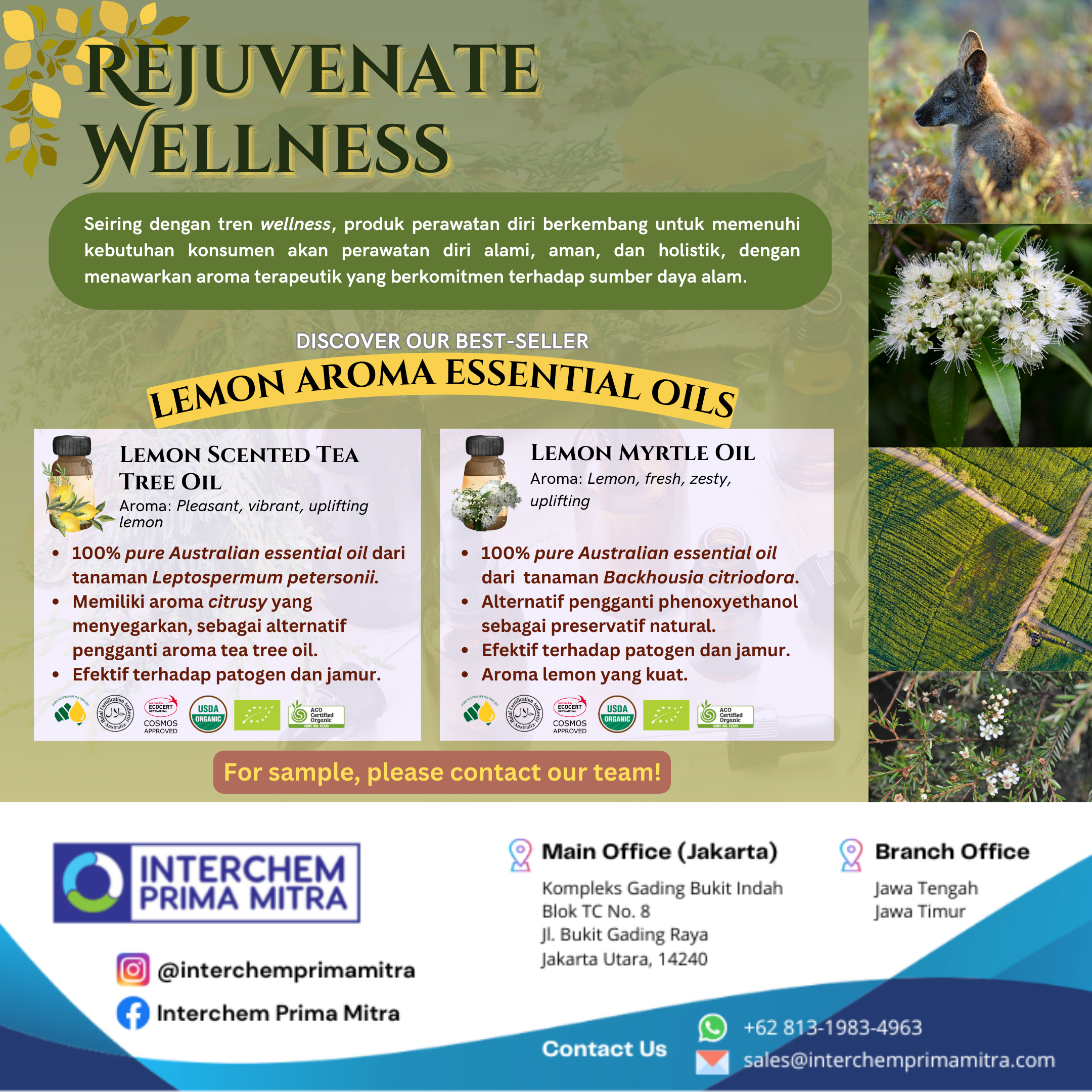 REJUVENATE WELLNESS
