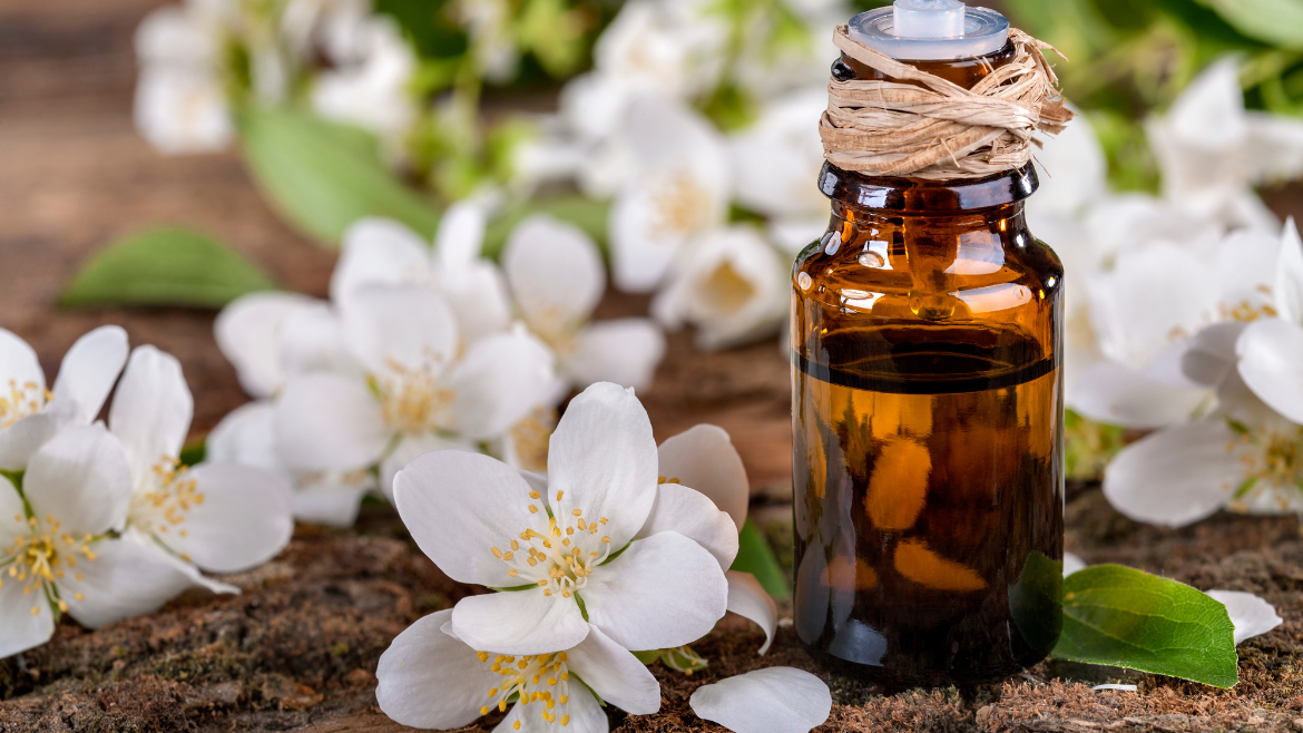 Lemon Scented Tea Tree Oil