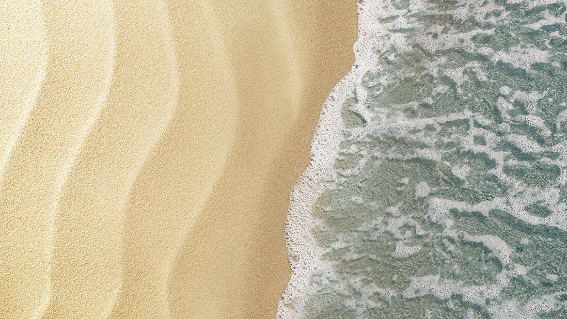 Seacode™ marine ingredient