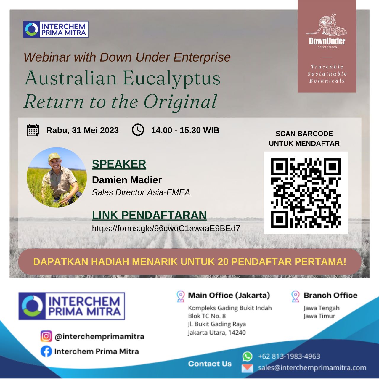 Australian Eucalyptus: Return to The Original