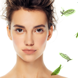 Stevisse™ advanced botanical ingredient