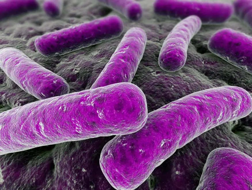 preBIULIN® FOS