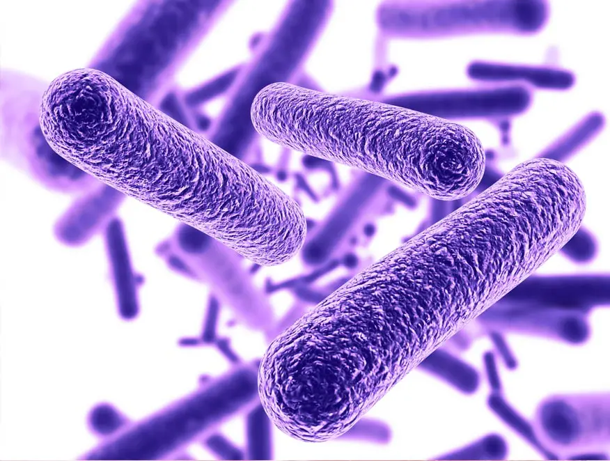 preBIULIN® C90